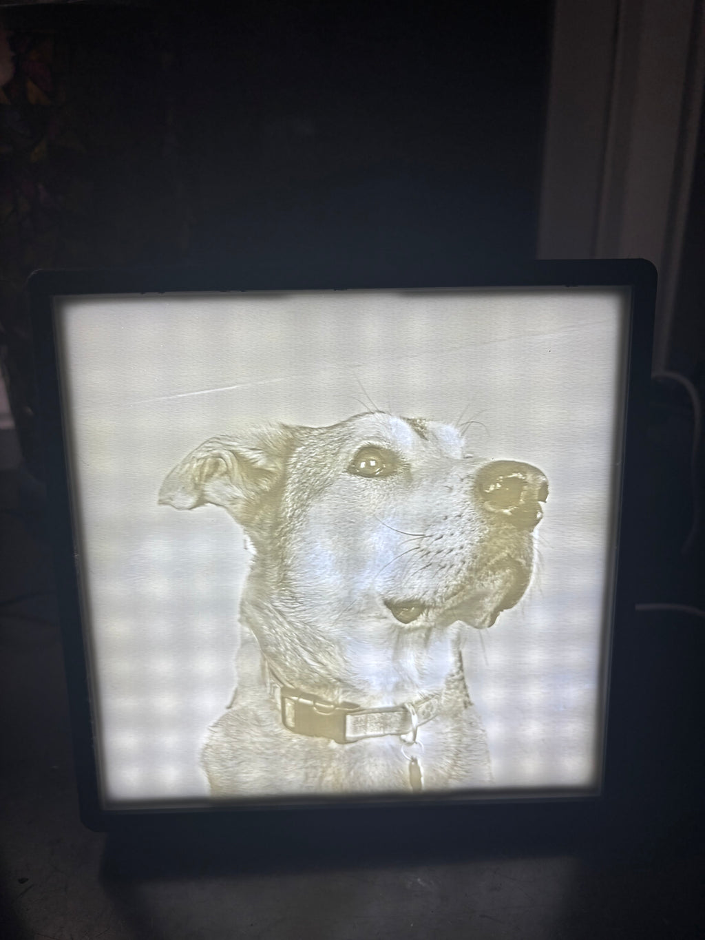 Custom 3D Photo Lithophane w/ LED