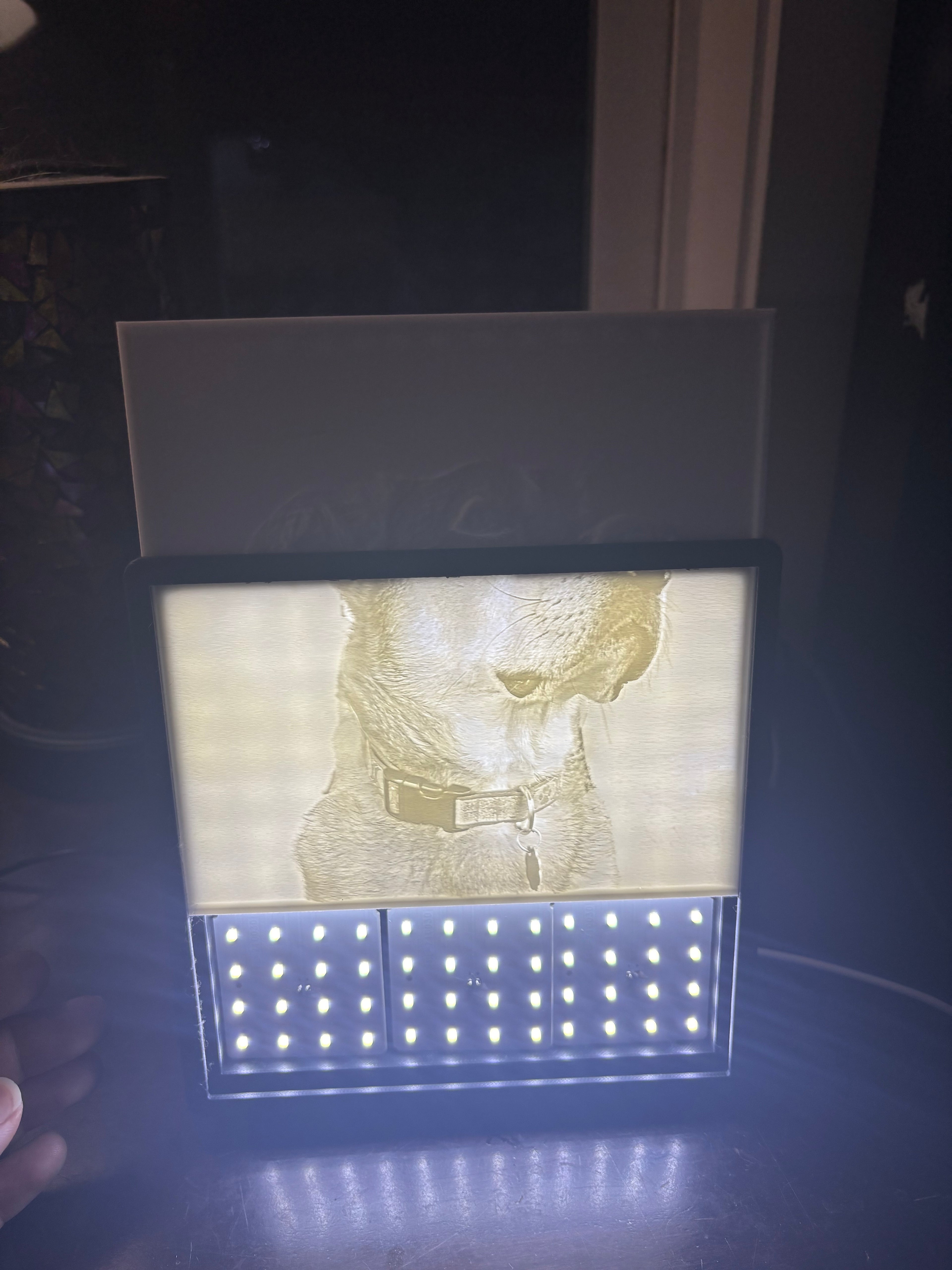 Custom 3D Photo Lithophane w/ LED