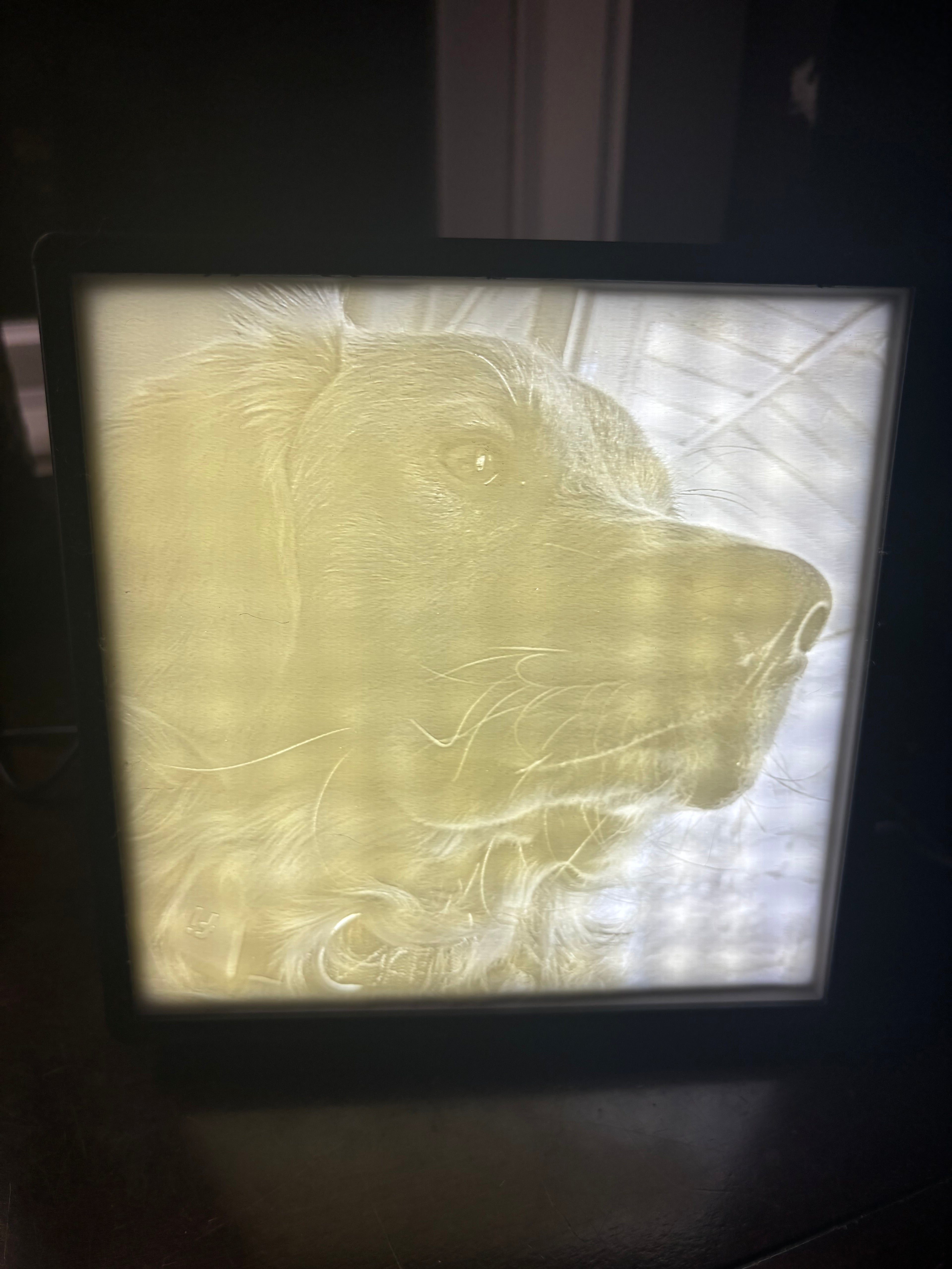 Custom 3D Photo Lithophane w/ LED
